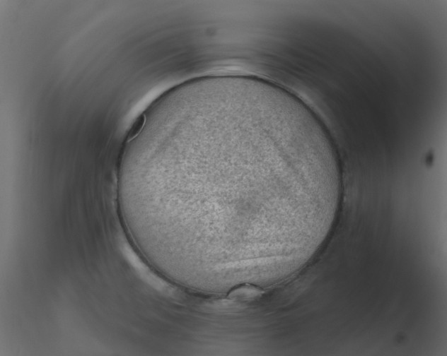 X0000116611476200912312107