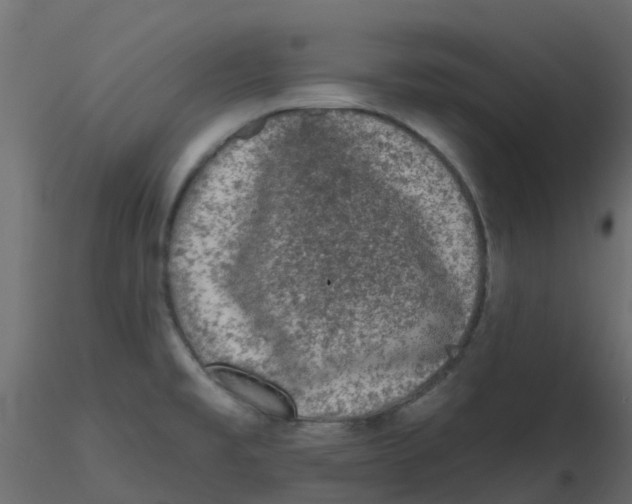 X0000116611477200912312107