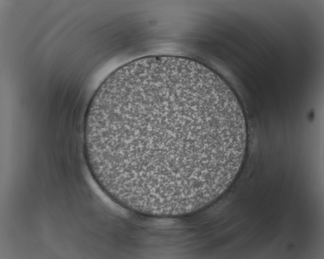 X0000116611479200912312107