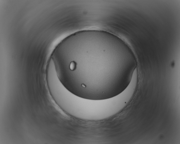 X0000116611480200912312107