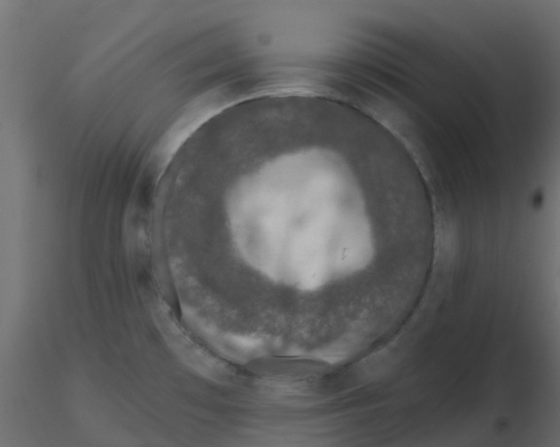 X0000116611481200912312107