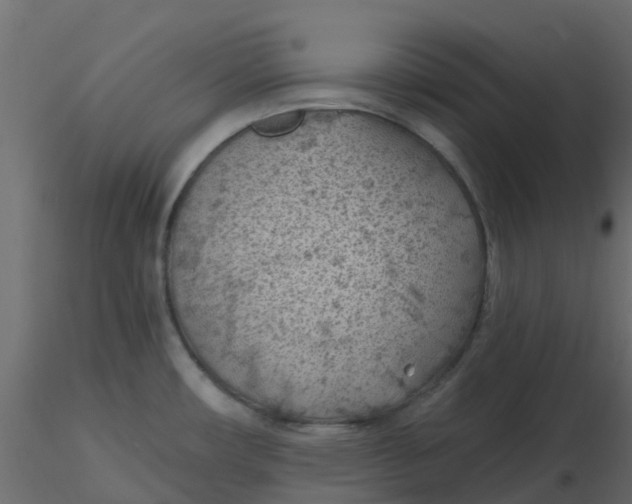 X0000116611482200912312107