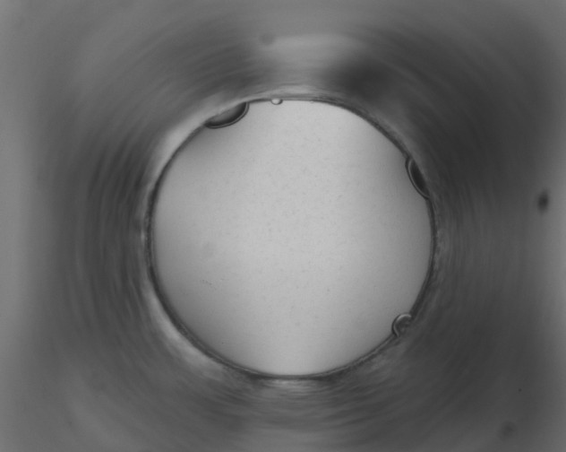 X0000116611483200912312107