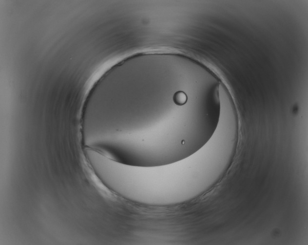 X0000116611485200912312107