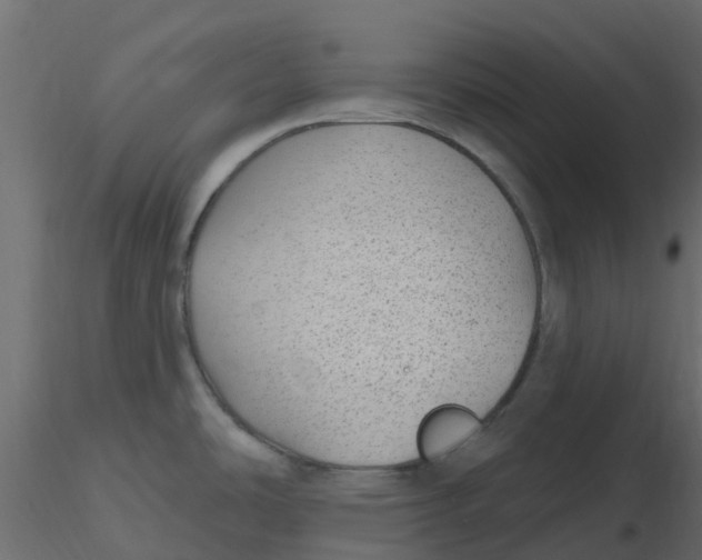 X0000116611486200912312107