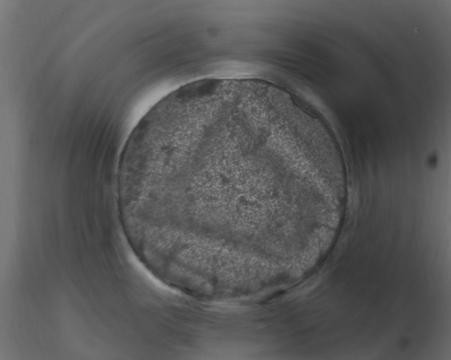 X0000116611487200912312107