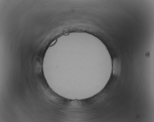 X0000116611491200912312107