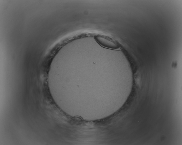 X0000116611495200912312107