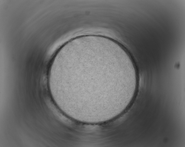 X0000116611498200912312107