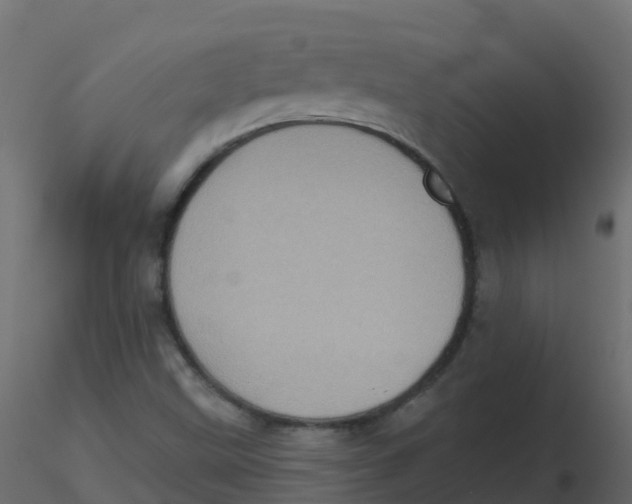 X0000116611499200912312107