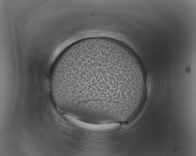 X0000116611501200912312107