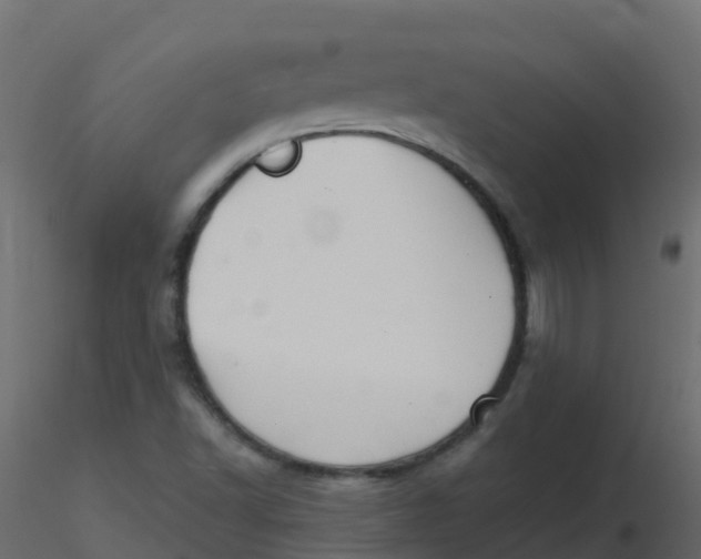 X0000116611502200912312107