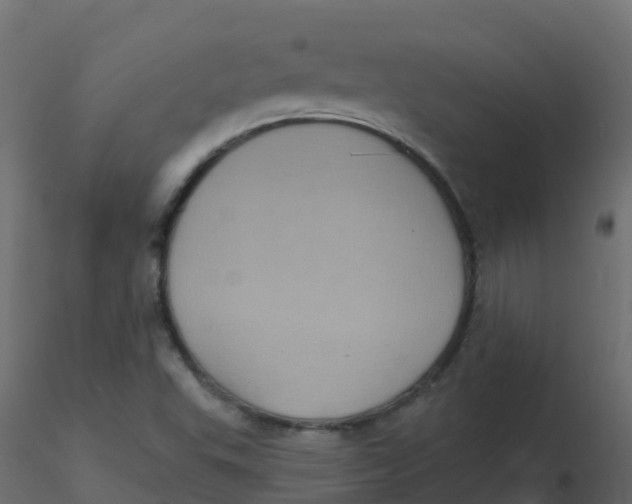 X0000116611503200912312107