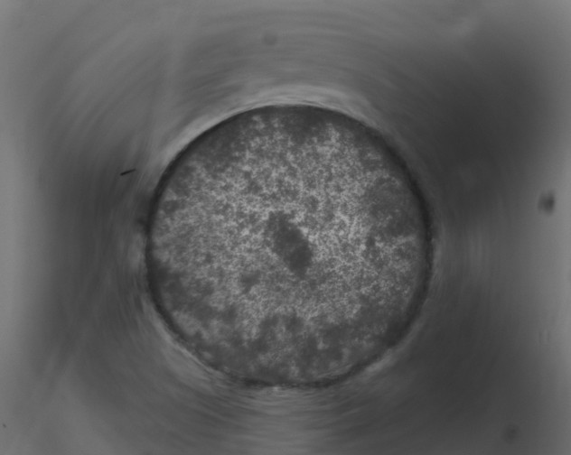 X0000116611505200912312107