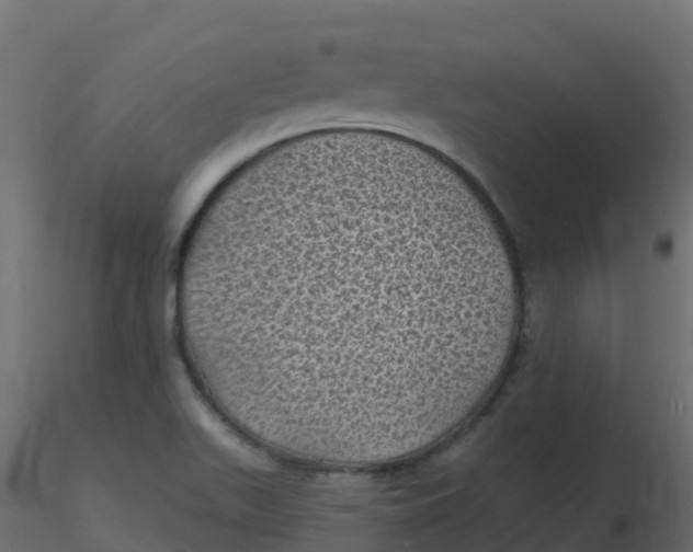 X0000116611511200912312107