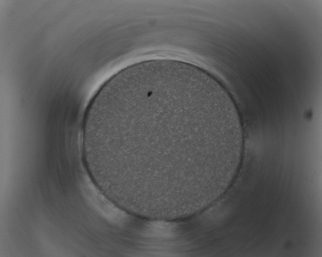 X0000116611514200912312107