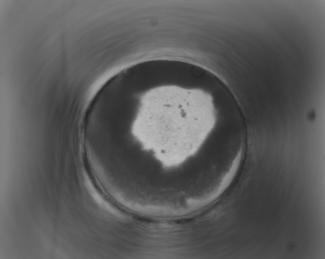 X0000116611515200912312107