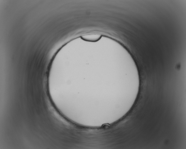 X0000116611518200912312107