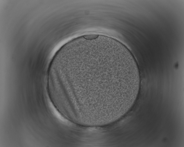 X0000116611523200912312107