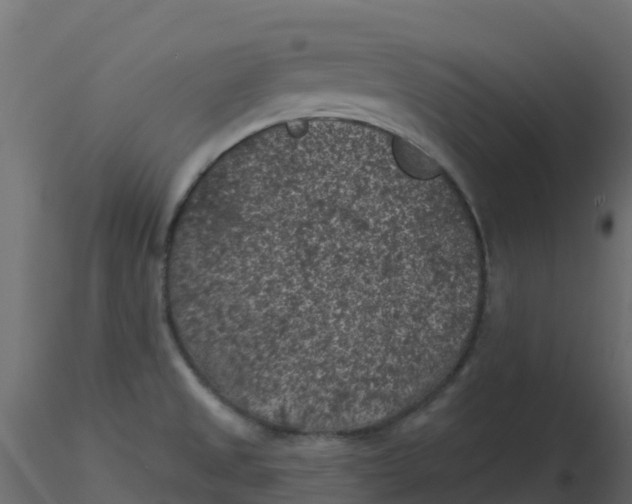 X0000116611525200912312107