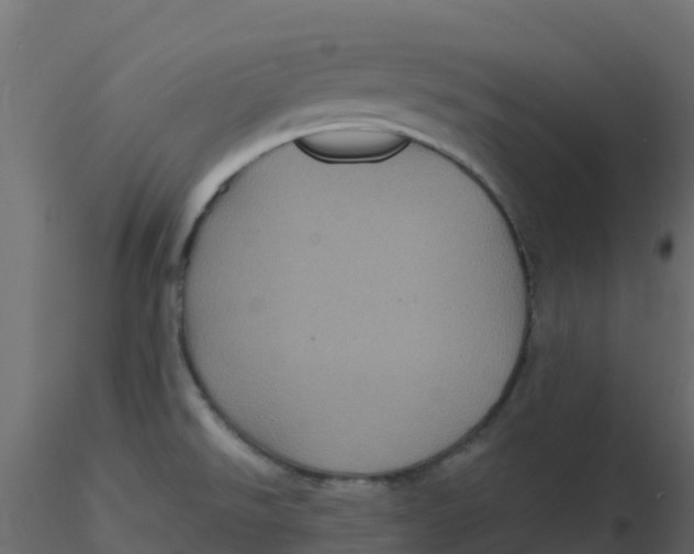 X0000116611526200912312107