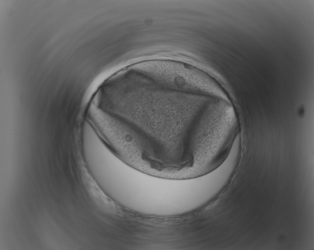 X0000116611530200912312107