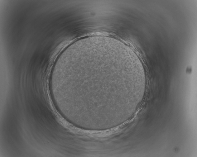 X0000116610001201001081220