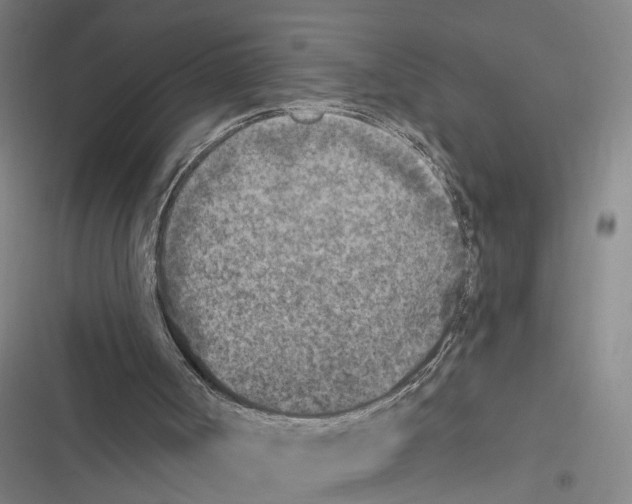 X0000116610002201001081220