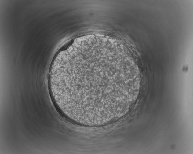 X0000116610003201001081220