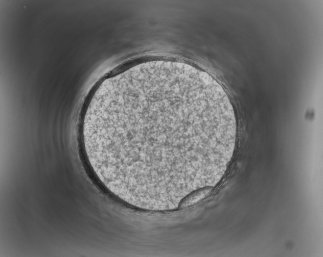 X0000116610007201001081220