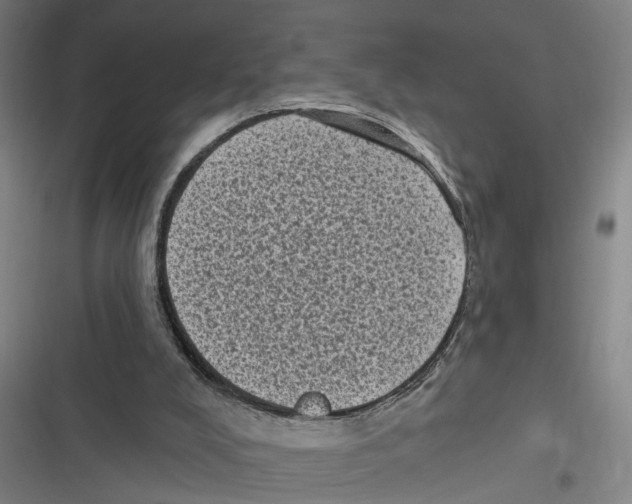 X0000116610008201001081220