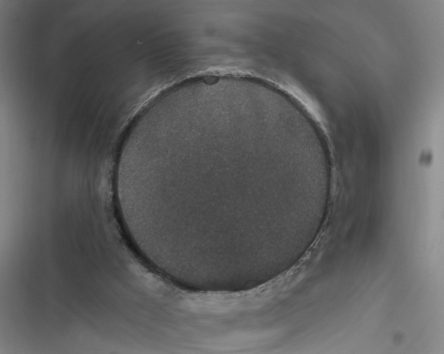 X0000116610009201001081220