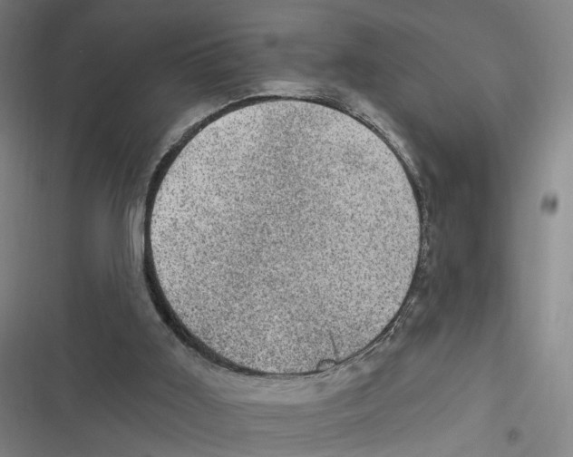 X0000116610011201001081220