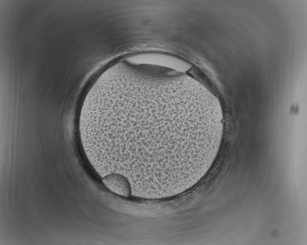 X0000116610012201001081220