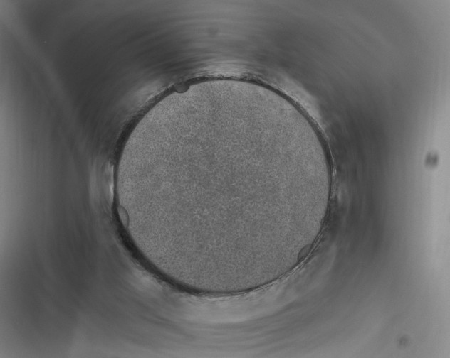 X0000116610013201001081220