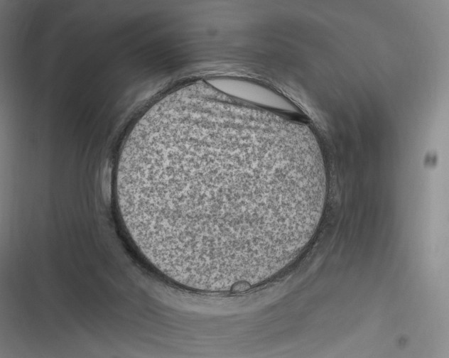 X0000116610014201001081220