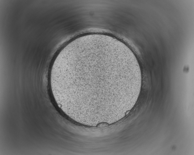 X0000116610015201001081220