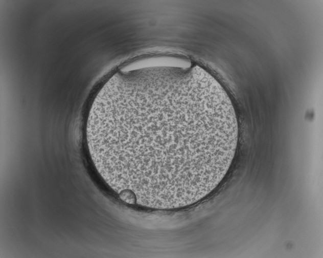 X0000116610016201001081220