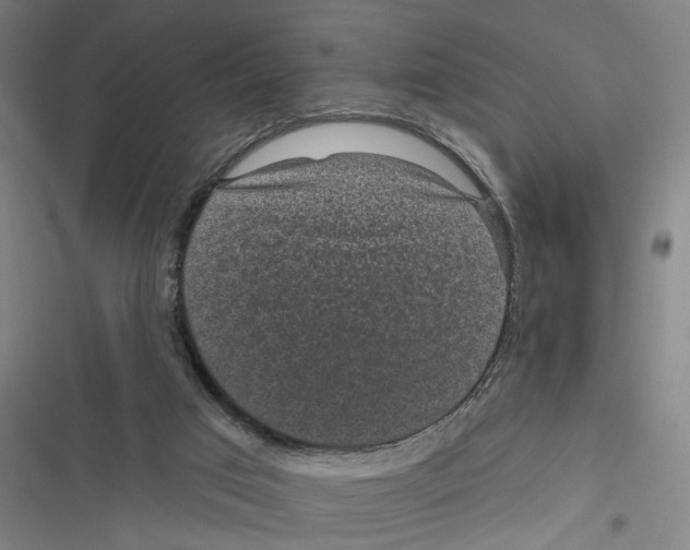 X0000116610017201001081220