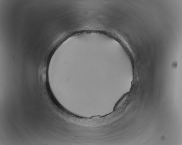 X0000116610019201001081220