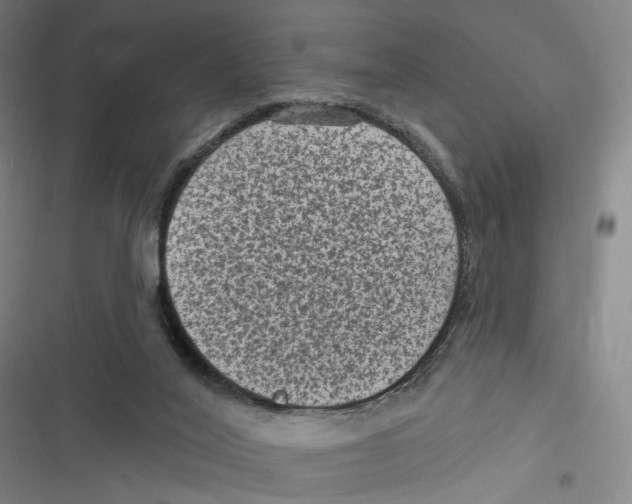 X0000116610020201001081220