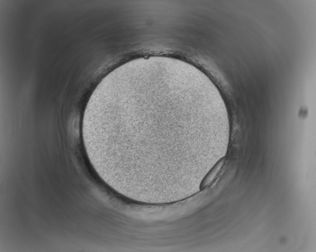 X0000116610021201001081220