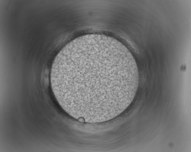 X0000116610022201001081220