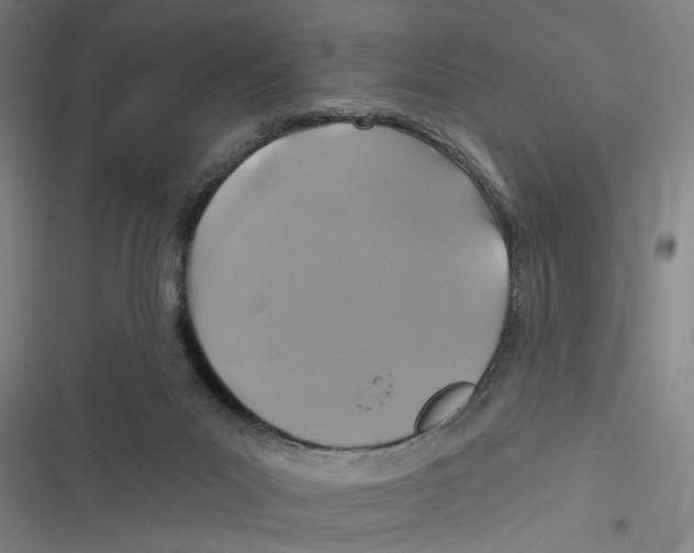 X0000116610023201001081220