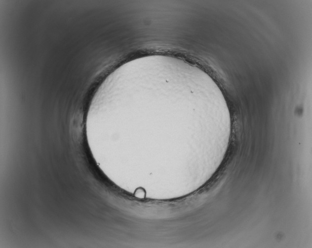 X0000116610024201001081220