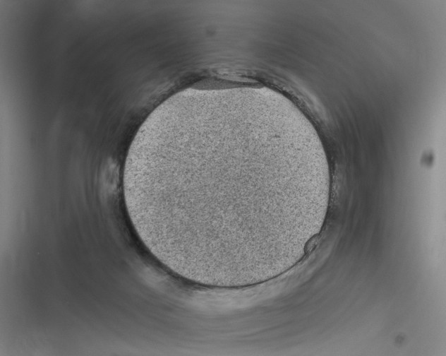 X0000116610025201001081220