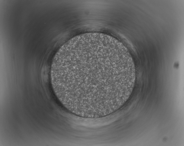 X0000116610026201001081220