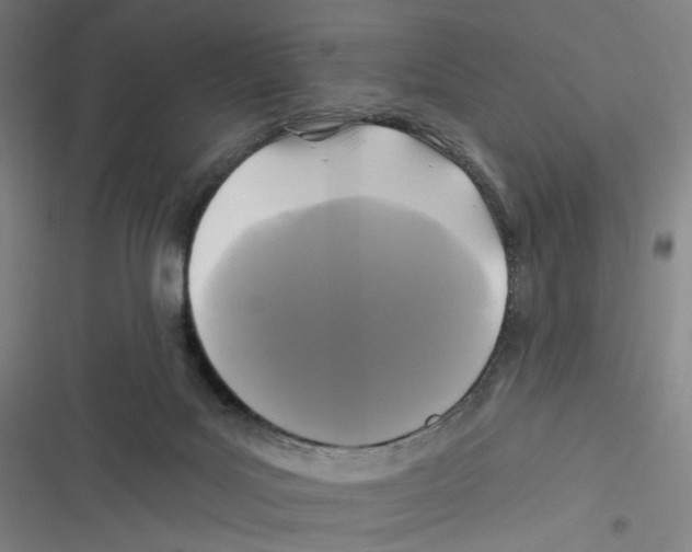 X0000116610027201001081220