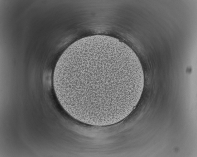 X0000116610028201001081220