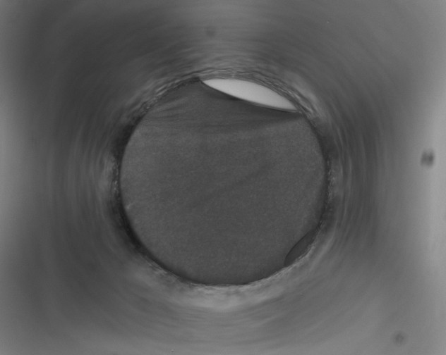 X0000116610029201001081220